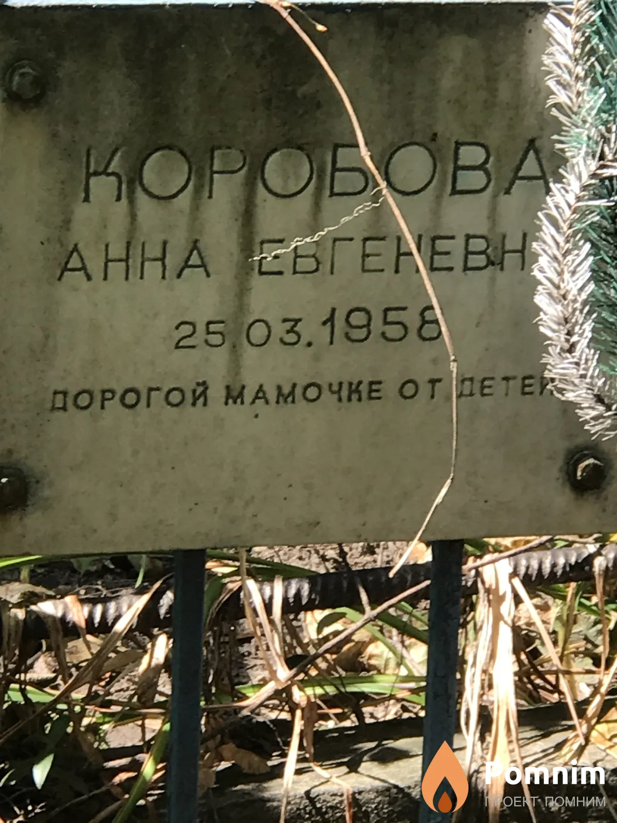 Коробова Анна Евгеньевна