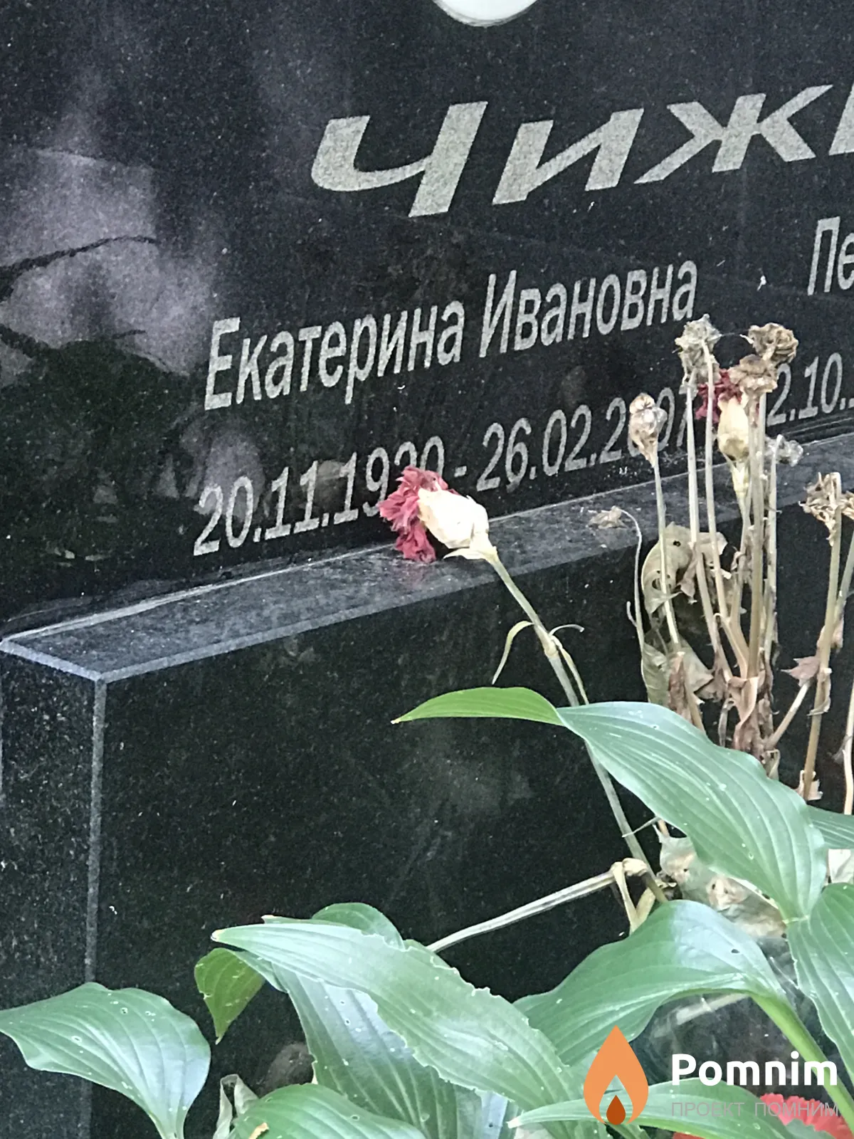 Чижик Екатерина Ивановна