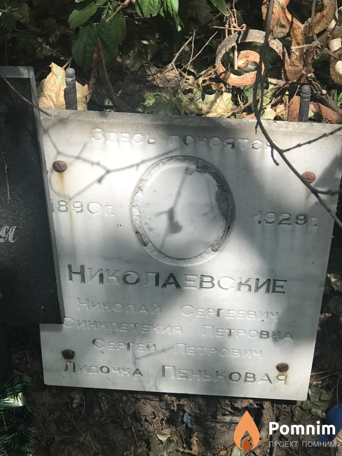 Николаевский Николай Сергеевич