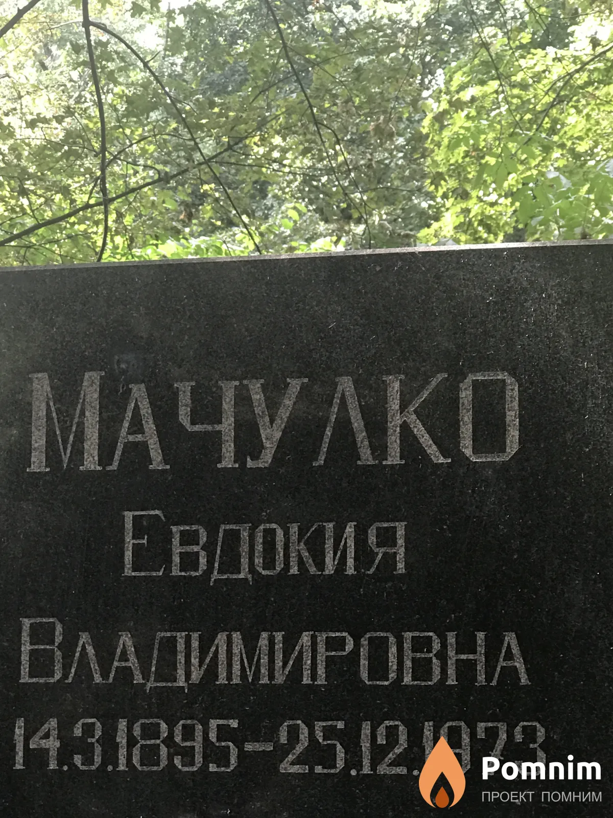 Мачулко Евдокия Владимировна