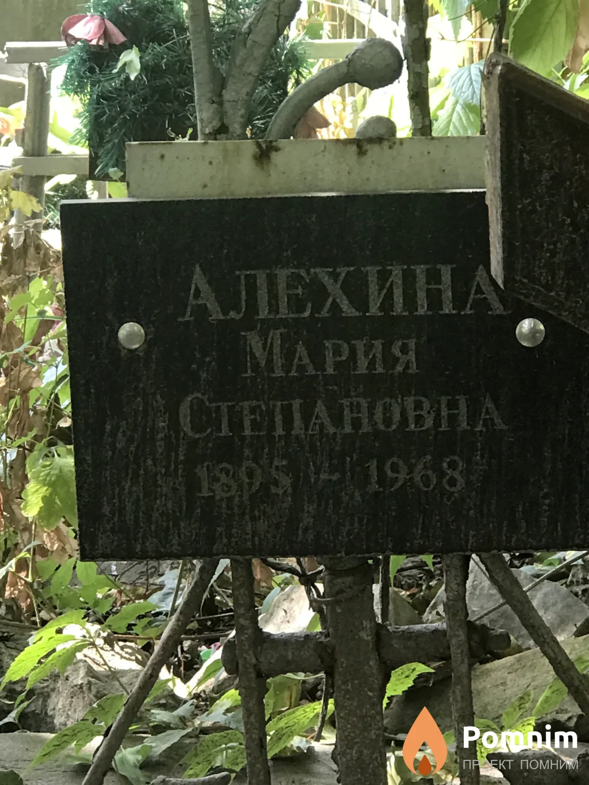 Алехина Мария Степановна