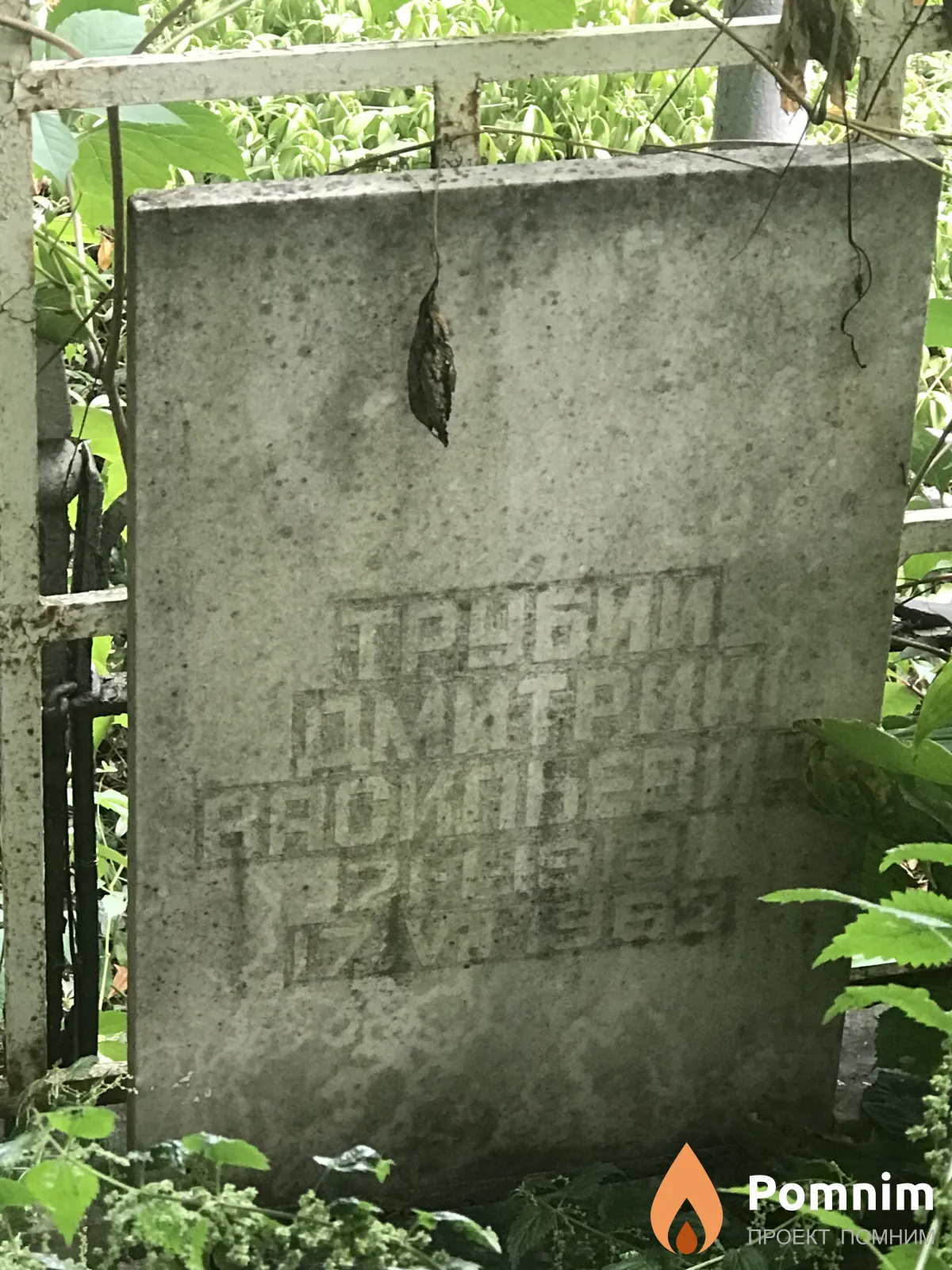 Трубий Дмитрий Васильевич