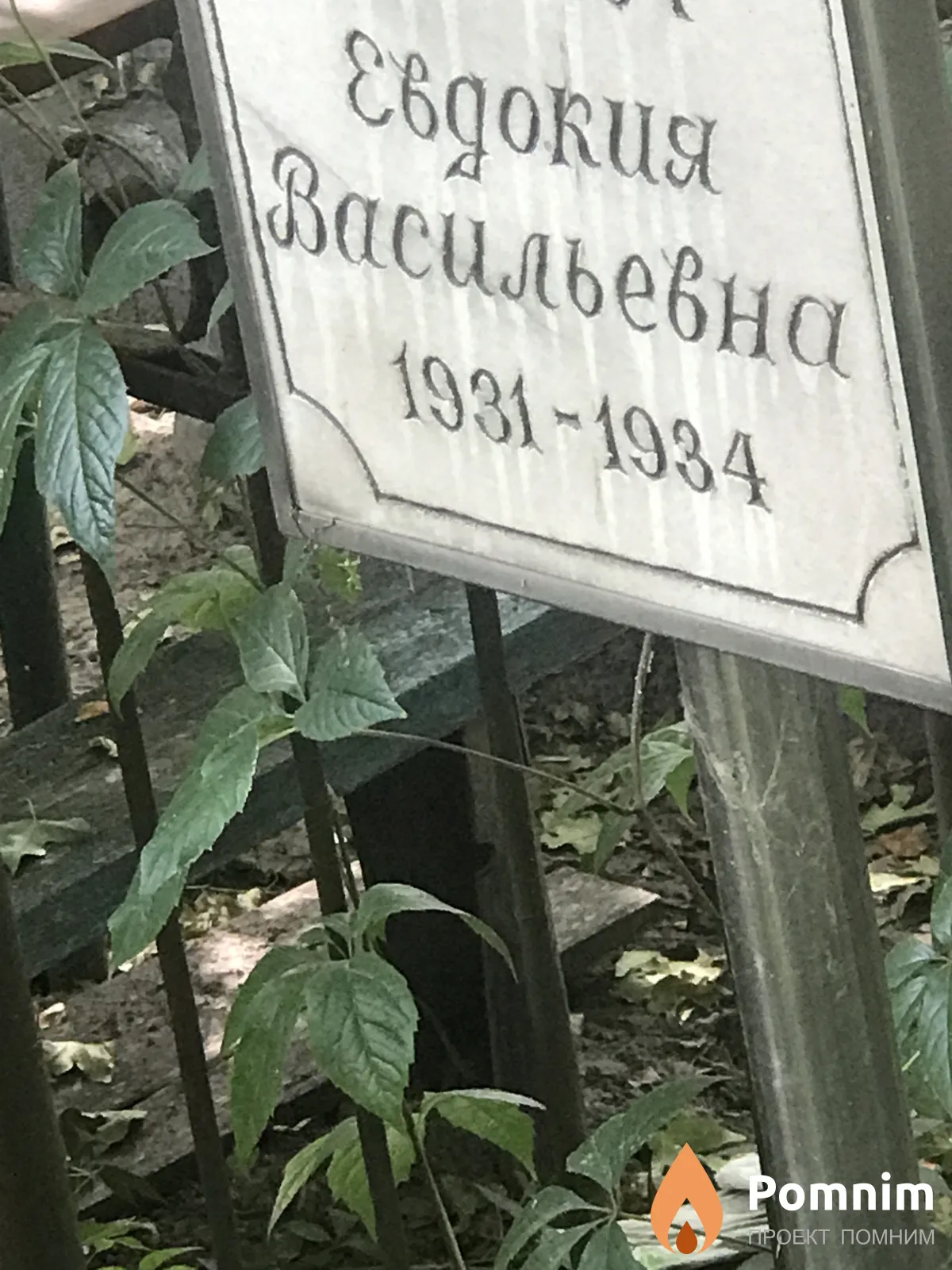 Свиридова Евдокия Васильевна