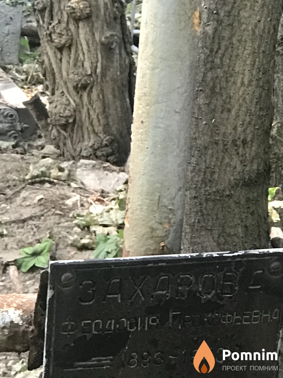 Захарова Феодосия Прокофьевна