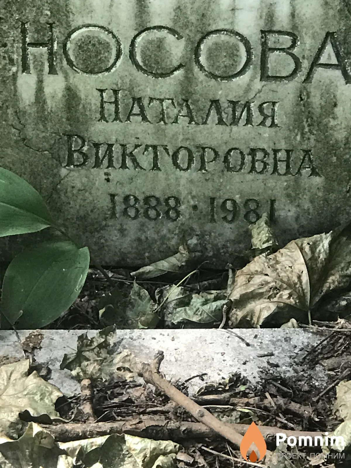 Носова Наталия Викторовна