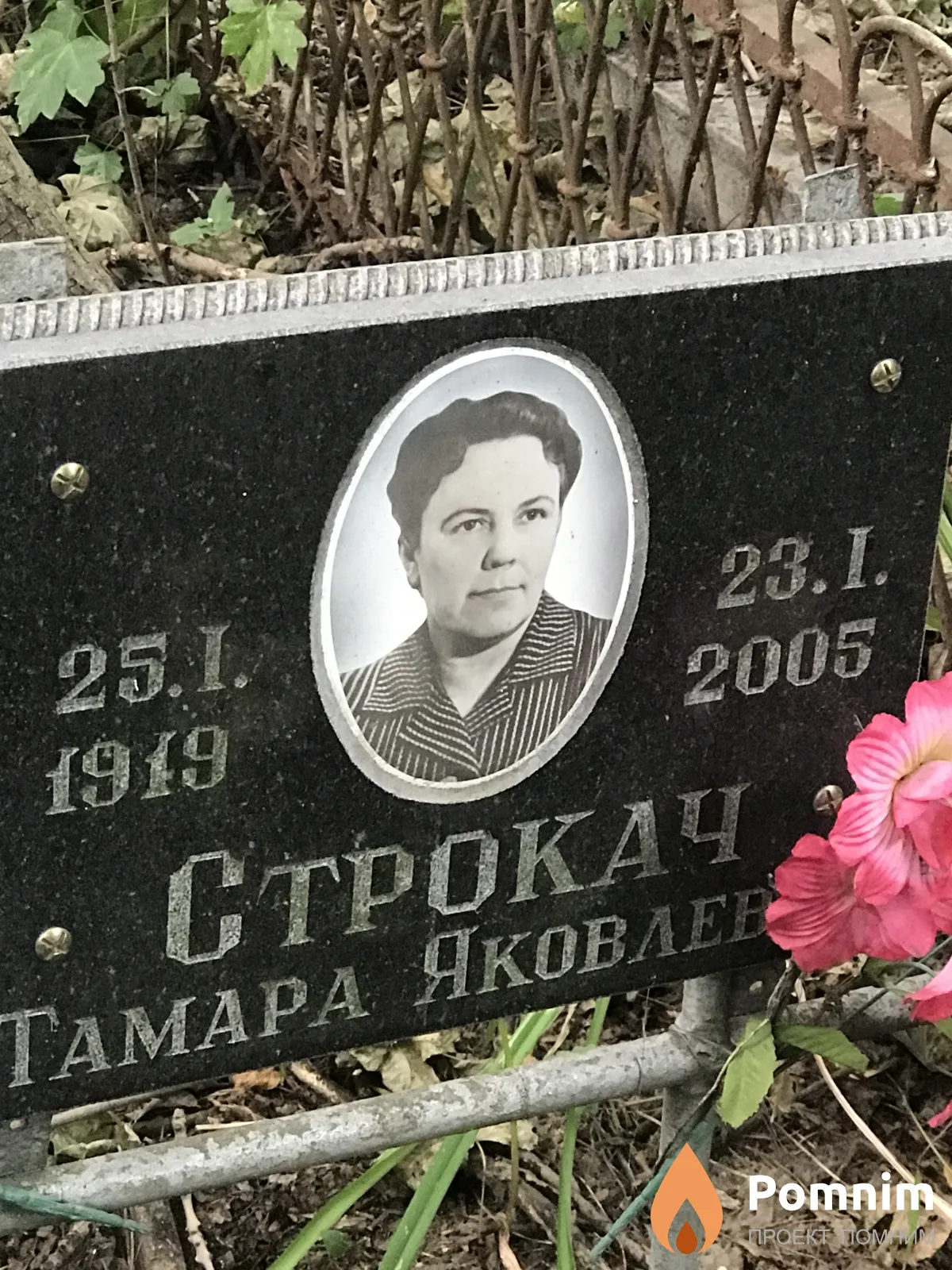 Строкач Тамара Яковлевна