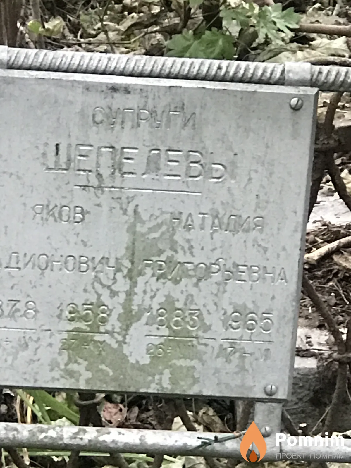 Шепелевь Наталия Григорьевна