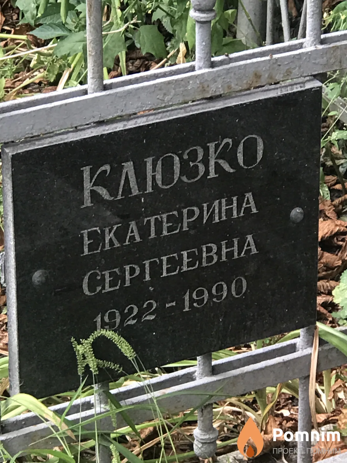 Клюзко Екатерина Сергеевна