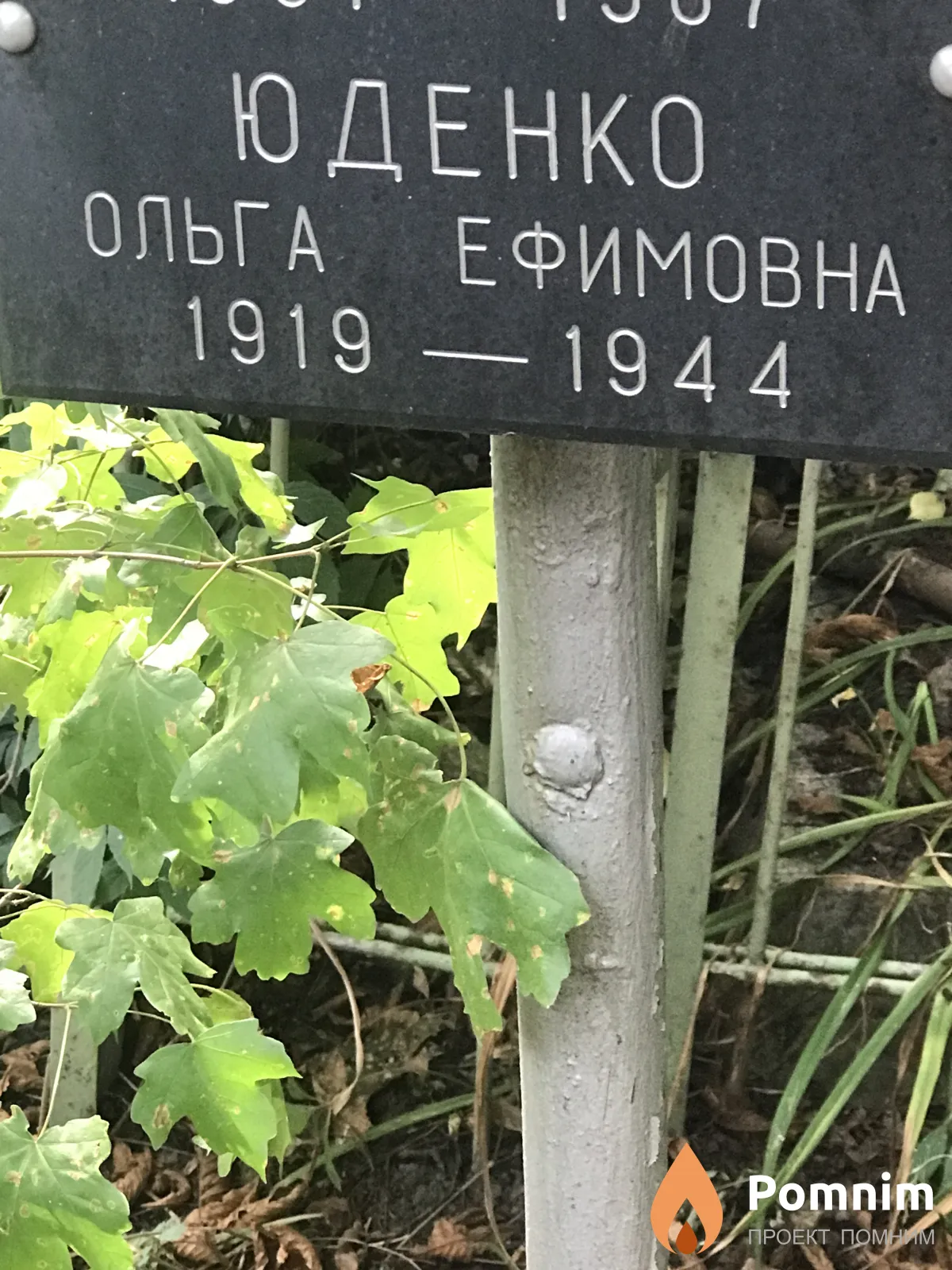 Юденко Ольга Ефимовна