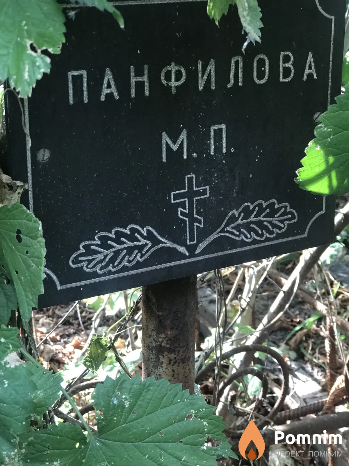 Панфилова М П