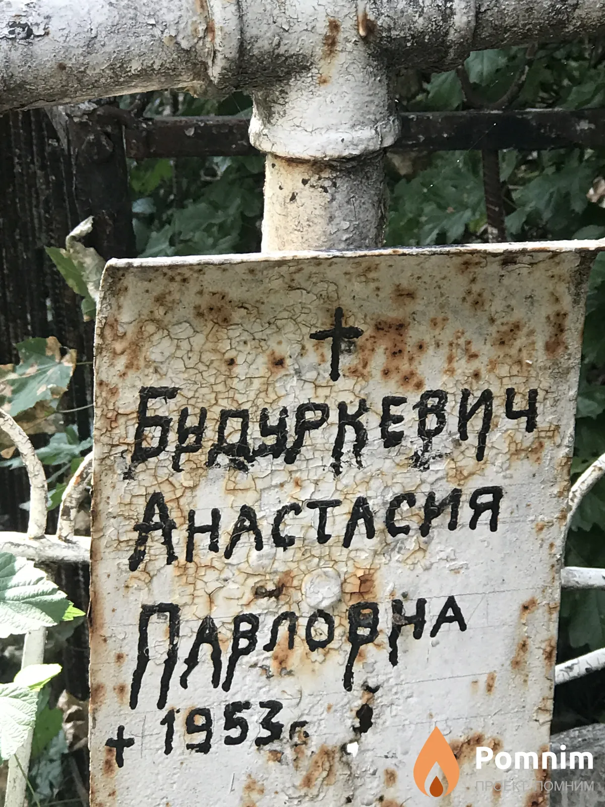 Будуркевич Анастасия Павловна