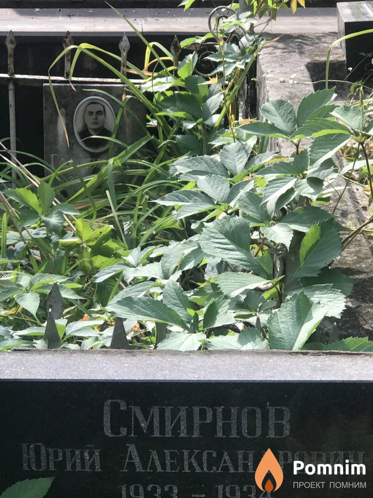 Смирнов Юрий Александрович