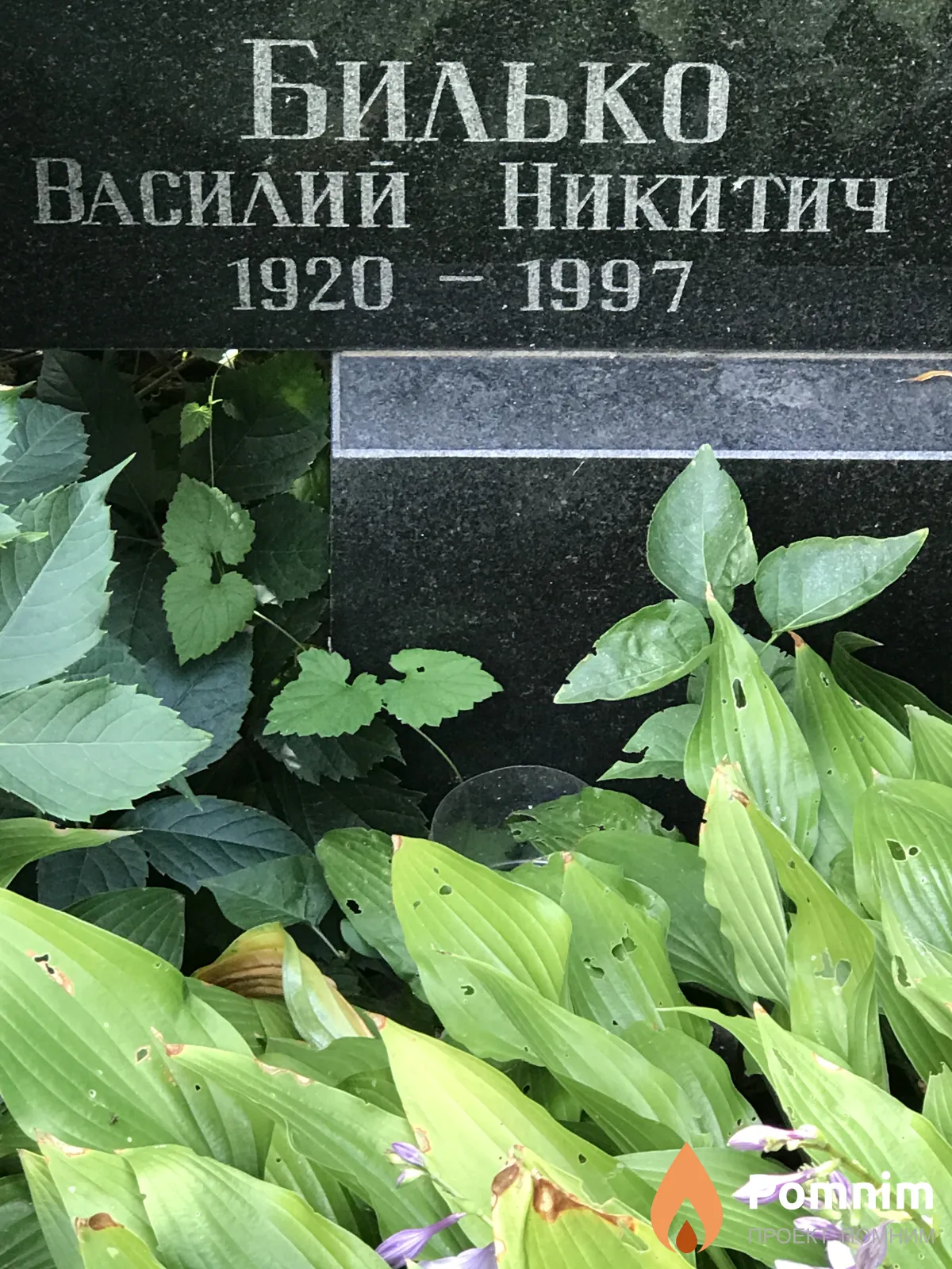 Билько Василий Никитич