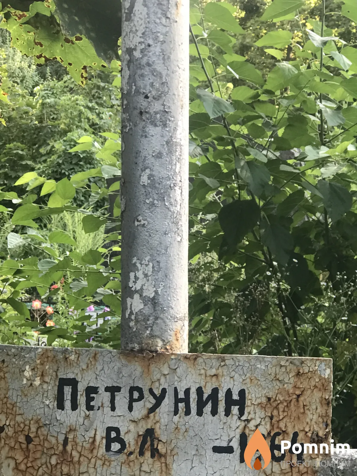 Петрунин В Д