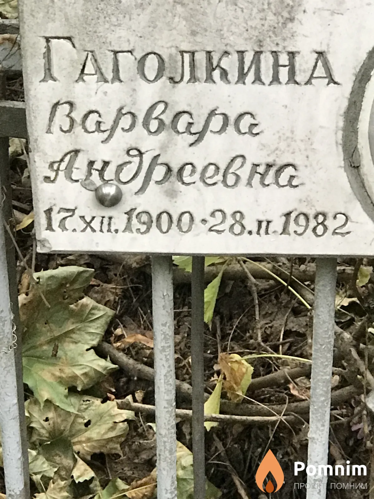 Гаголкина Варвара Андреевна