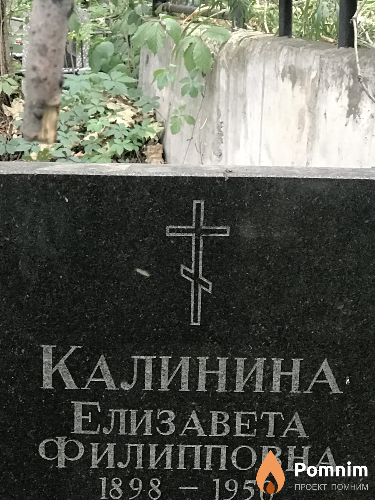 Калинина Елизавета Филипповна