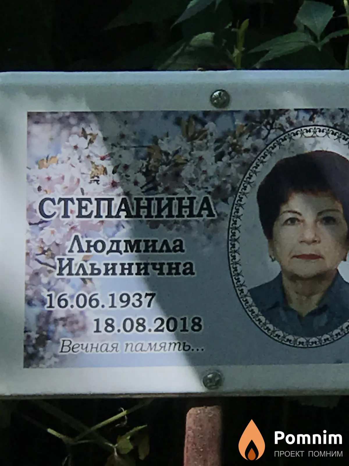 Степанина Людмила Ильинична