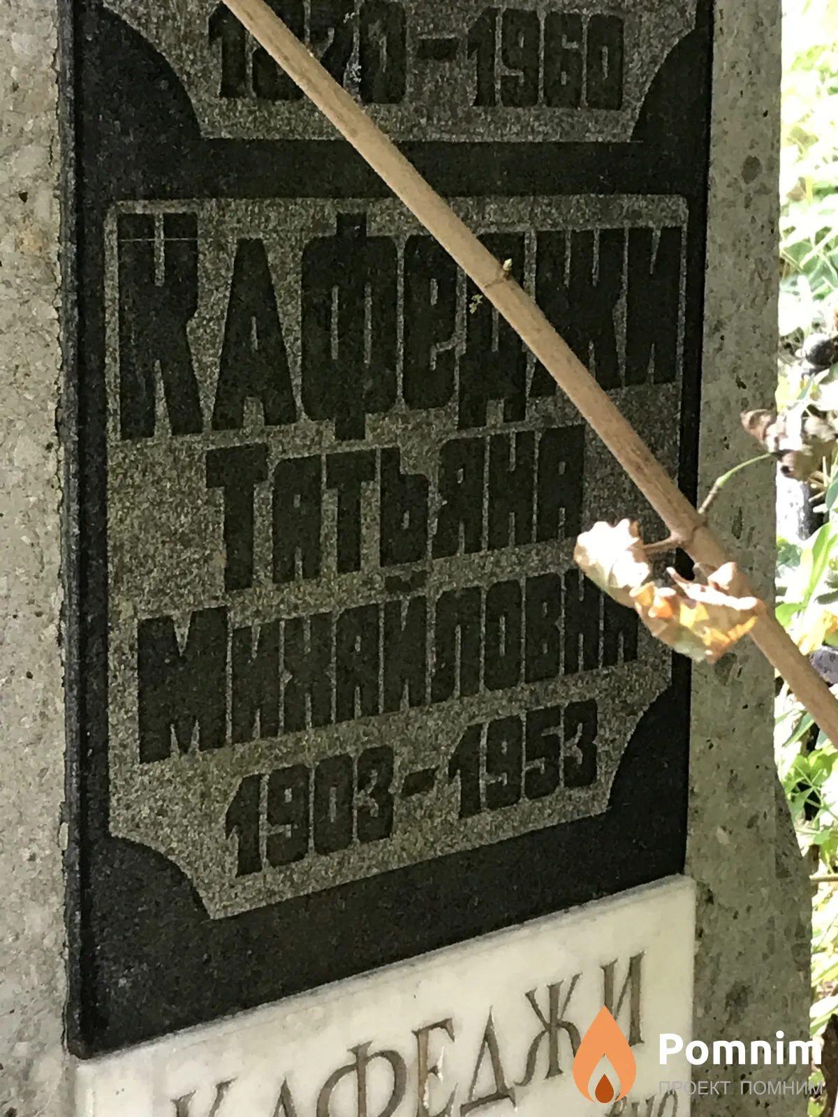 Кафеджи Татьяна Михайловна
