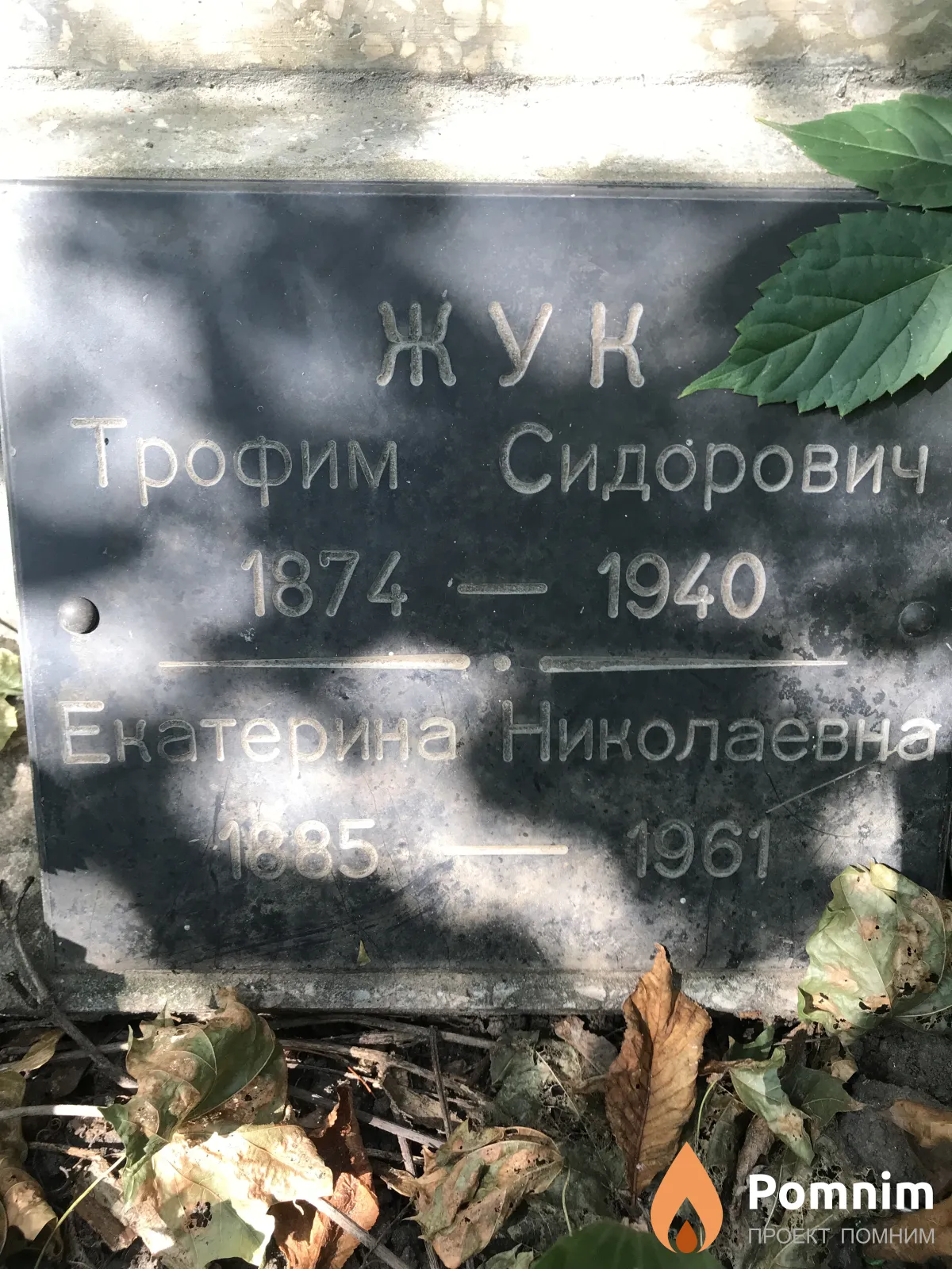 Жук Екатерина Николавена