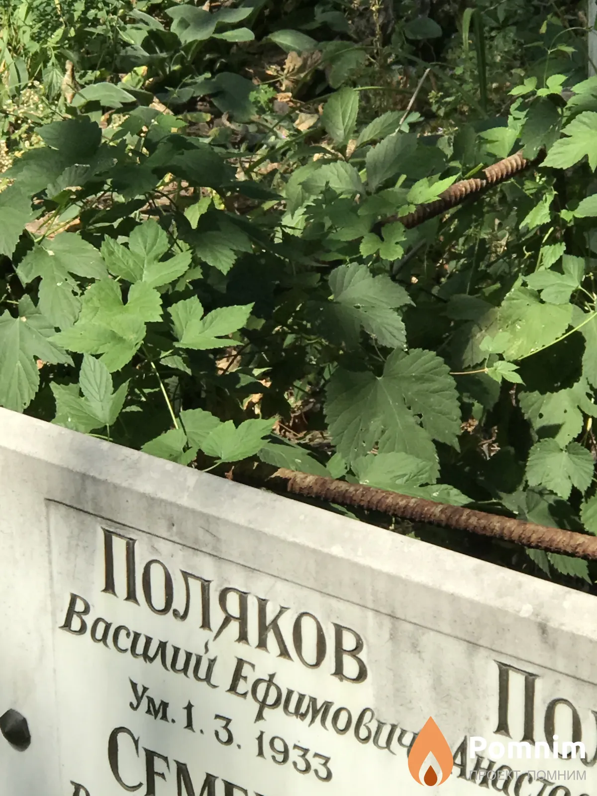 Поляков Василий Ефимович