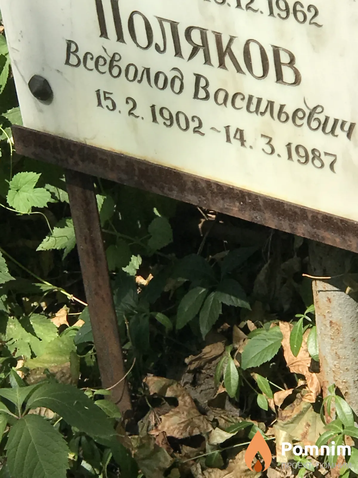 Поляков Всеволод Васильевич