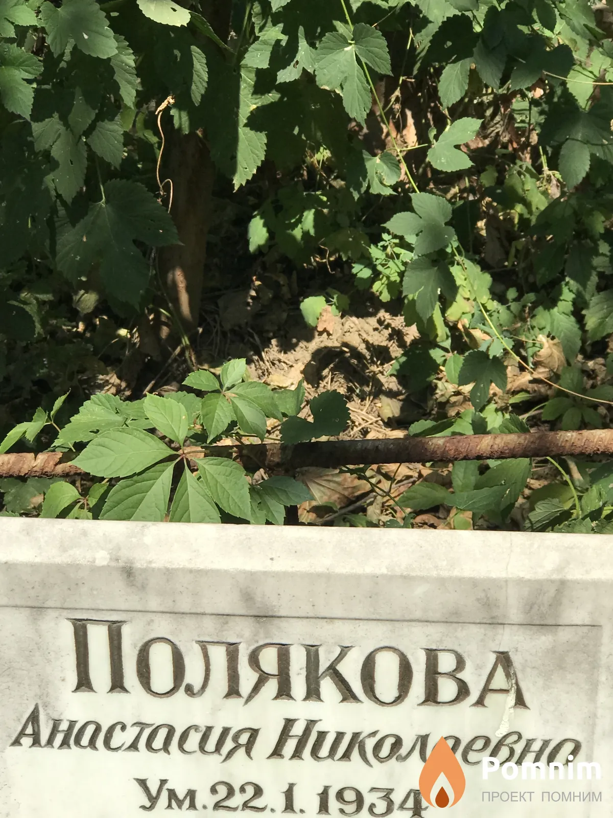 Полякова Анастасия Николаевна