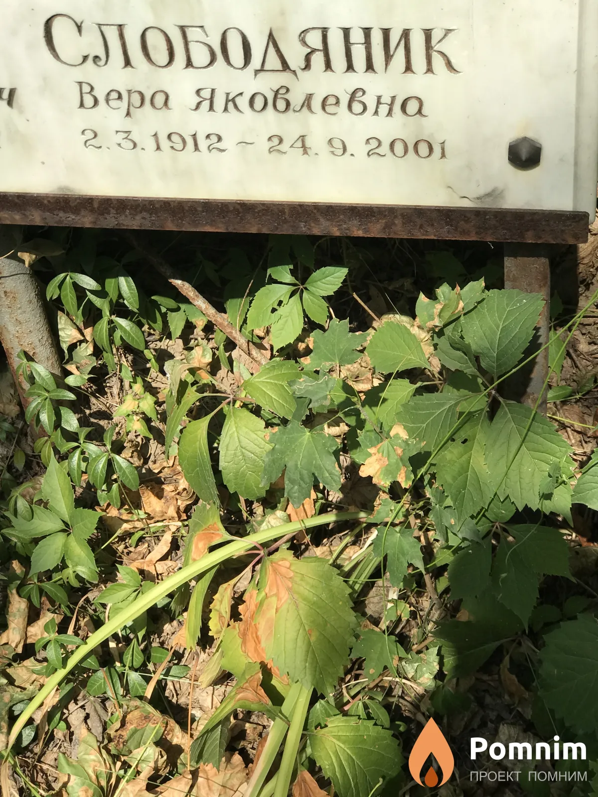 Слободяник Вера Яковлевна