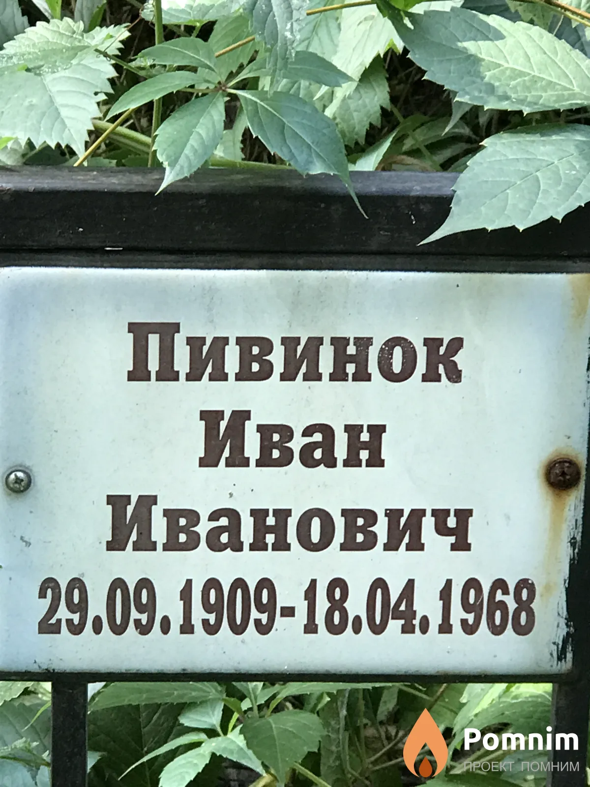 Пивинок Иван Иванович