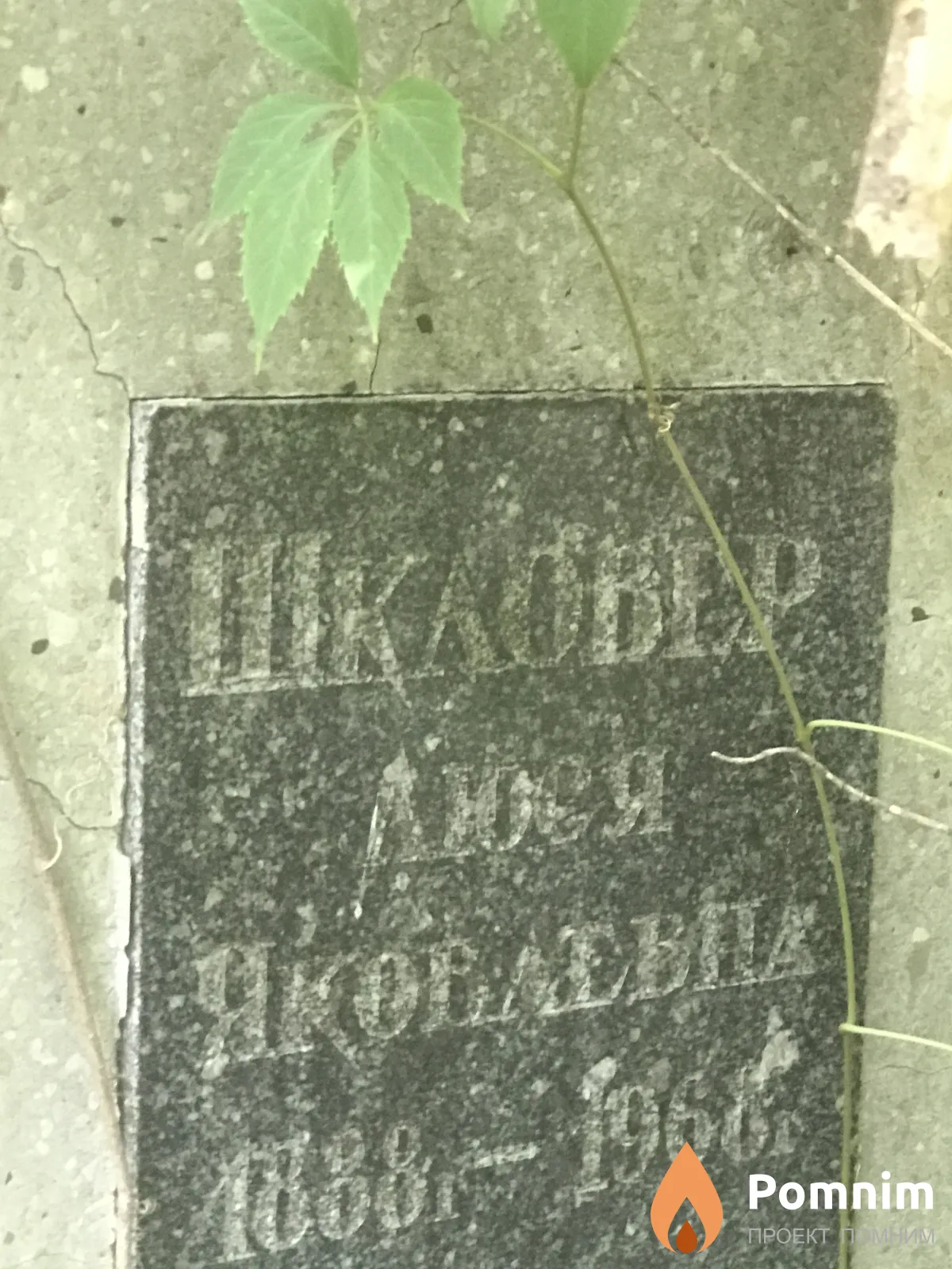 Шкловер Люся Яковлевна