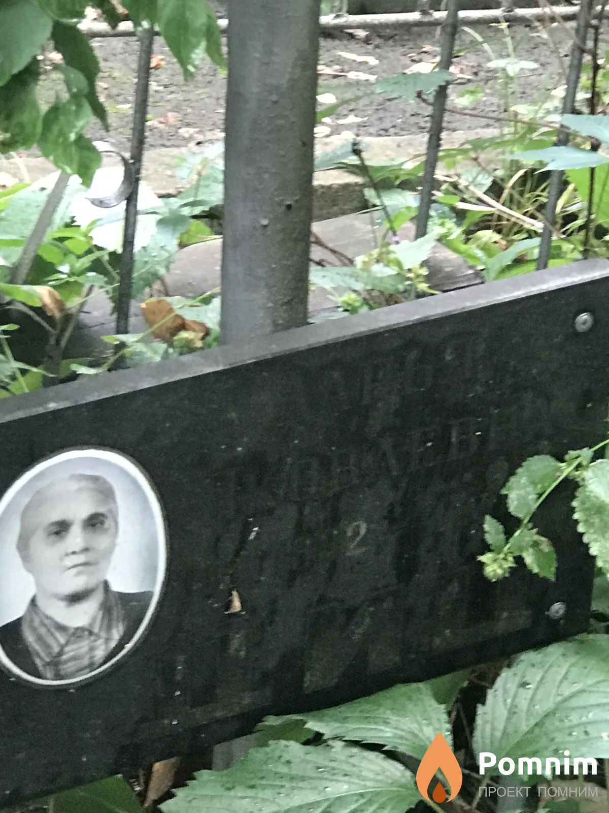 Диц Дарья Яковлевна