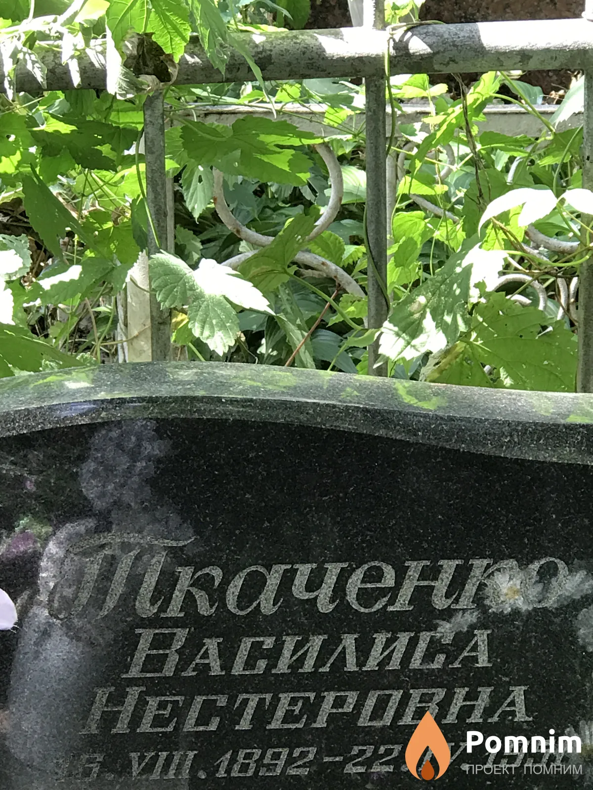 Ткаченко Василиса Нестеровна