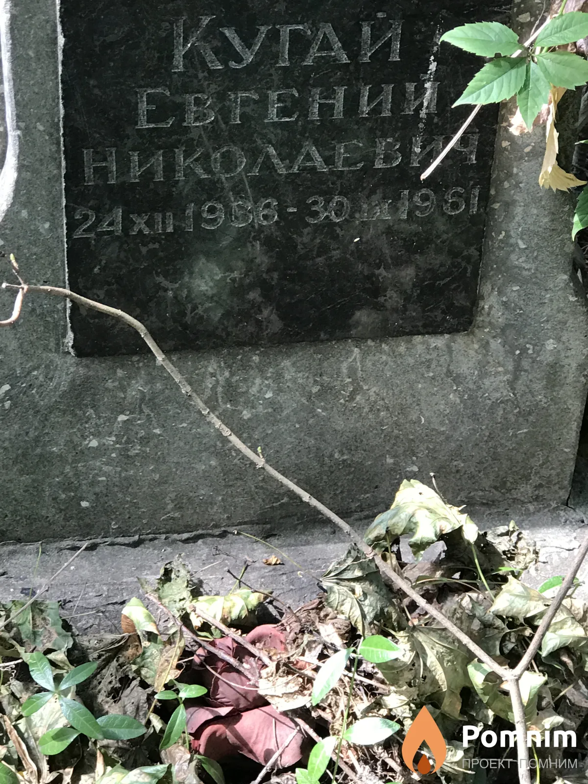 Кугай Евгений Николаевич