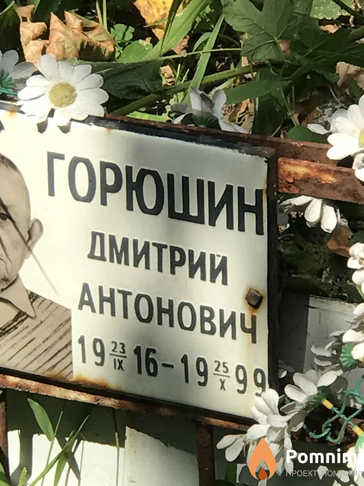 Горюшин Дмитрий Антонович