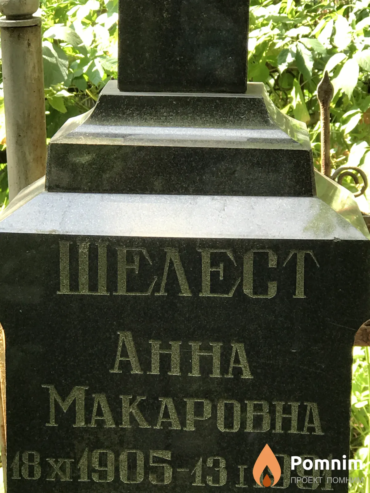 Шелест Анна Макаровна