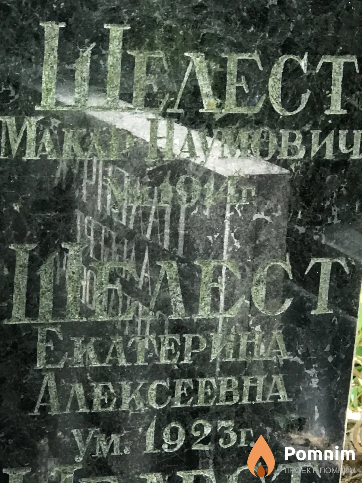 Шелест Екатерина Алексеевна