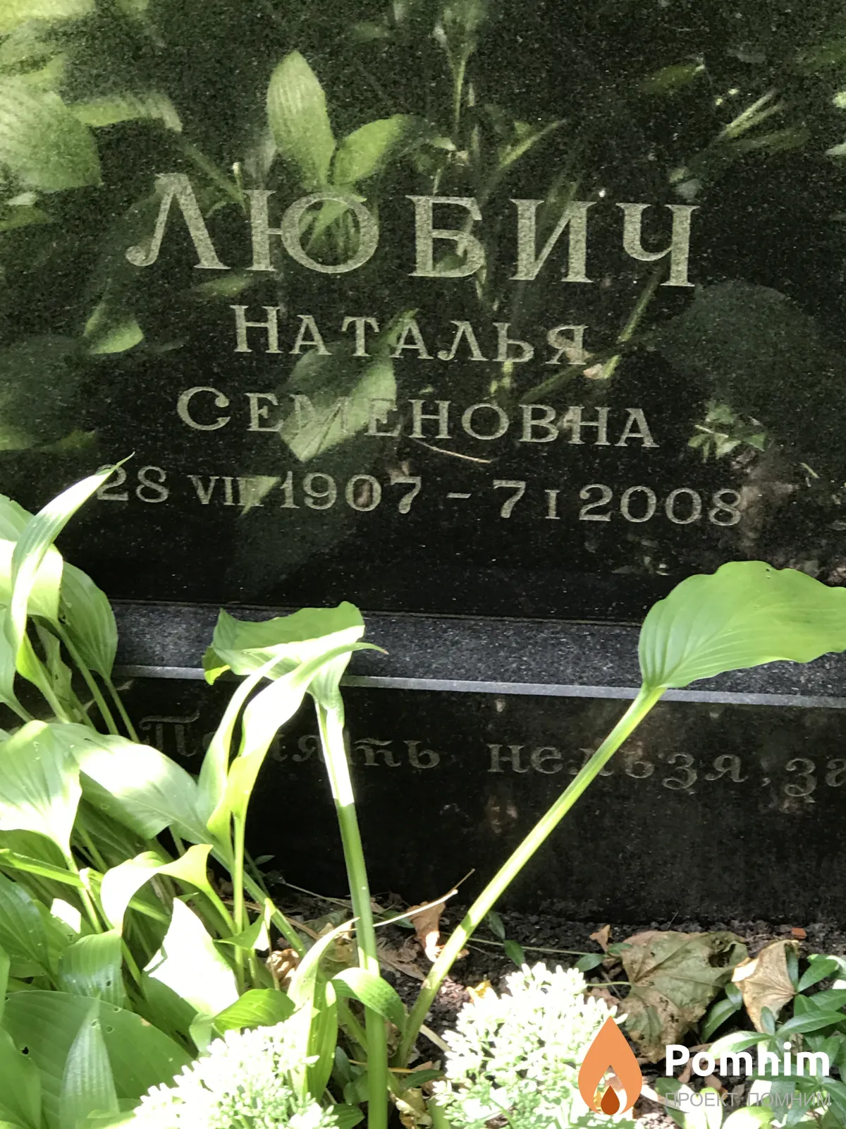 Любич Наталья Семёновна