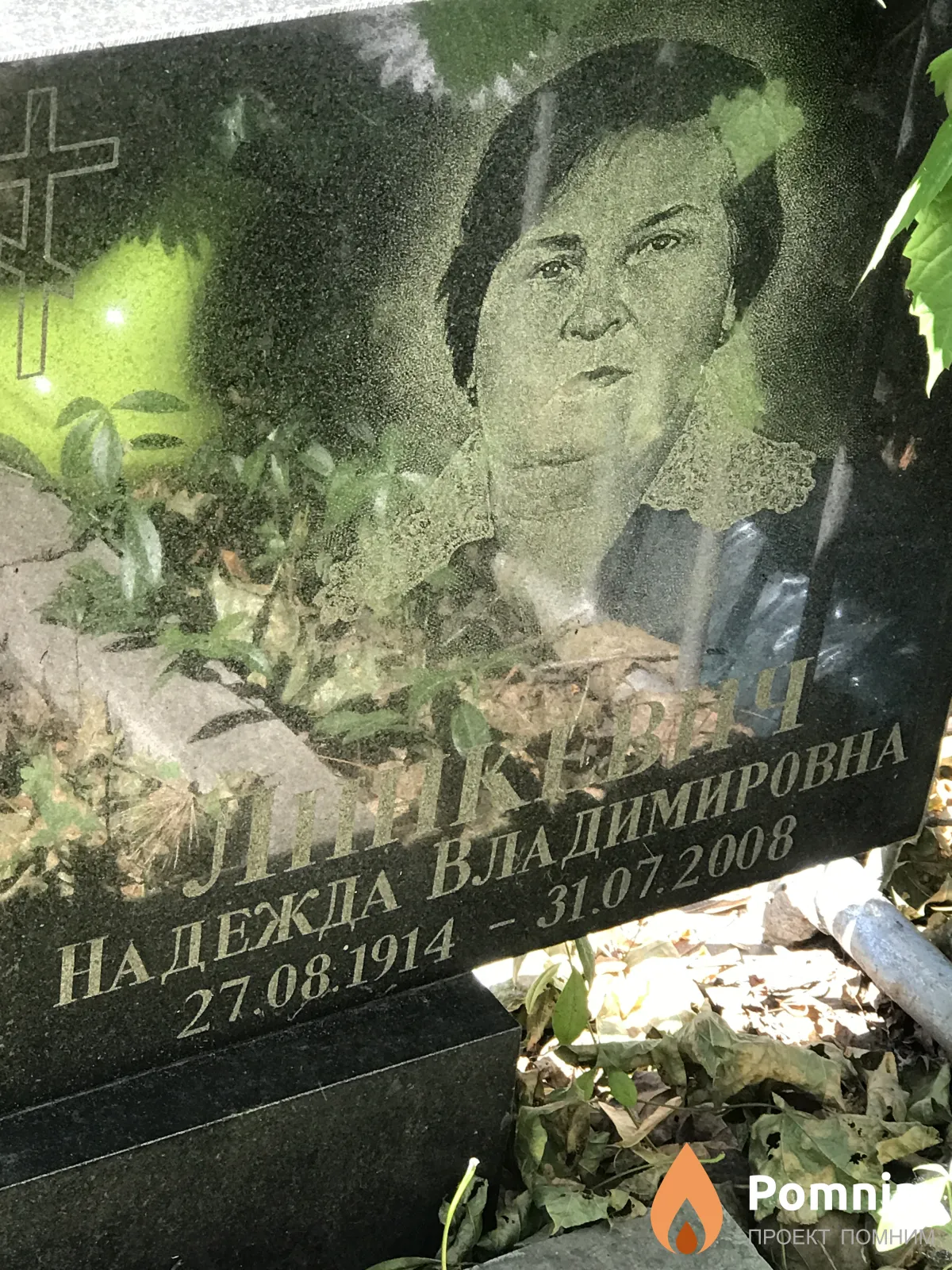 Линкевич Надежда Владимировна
