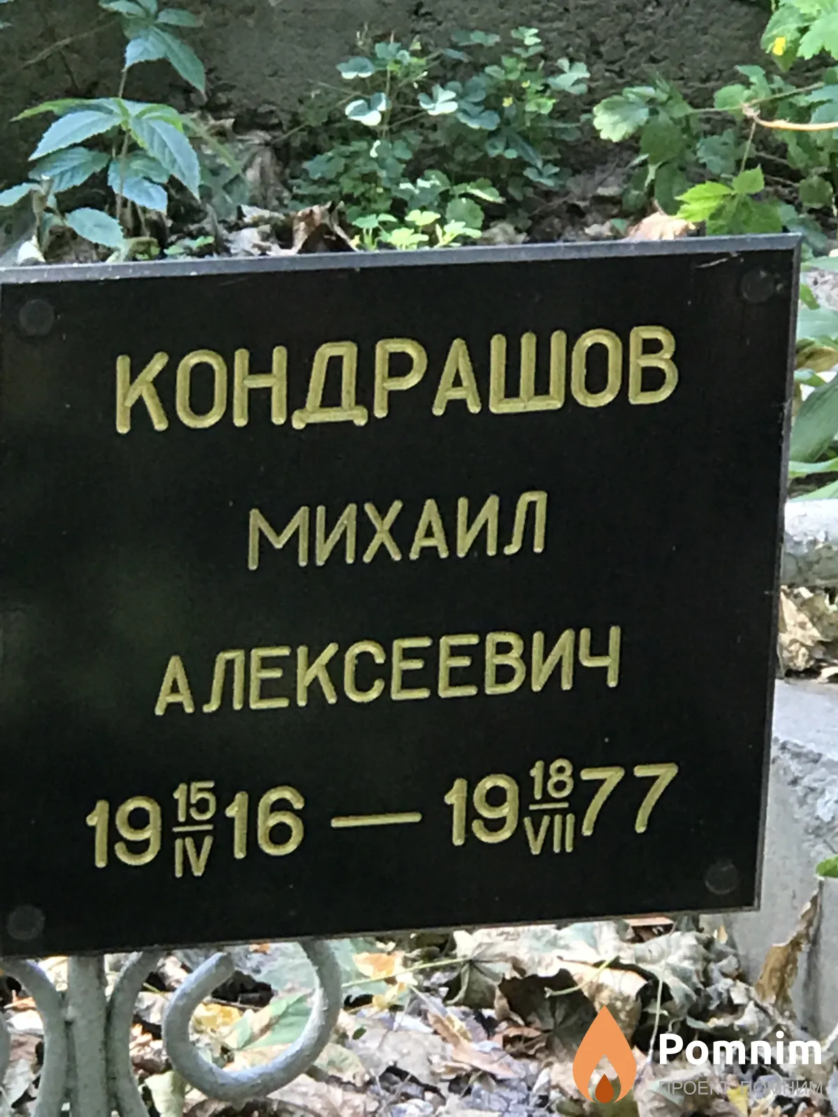 Кондрашов Михаил Алексеевич