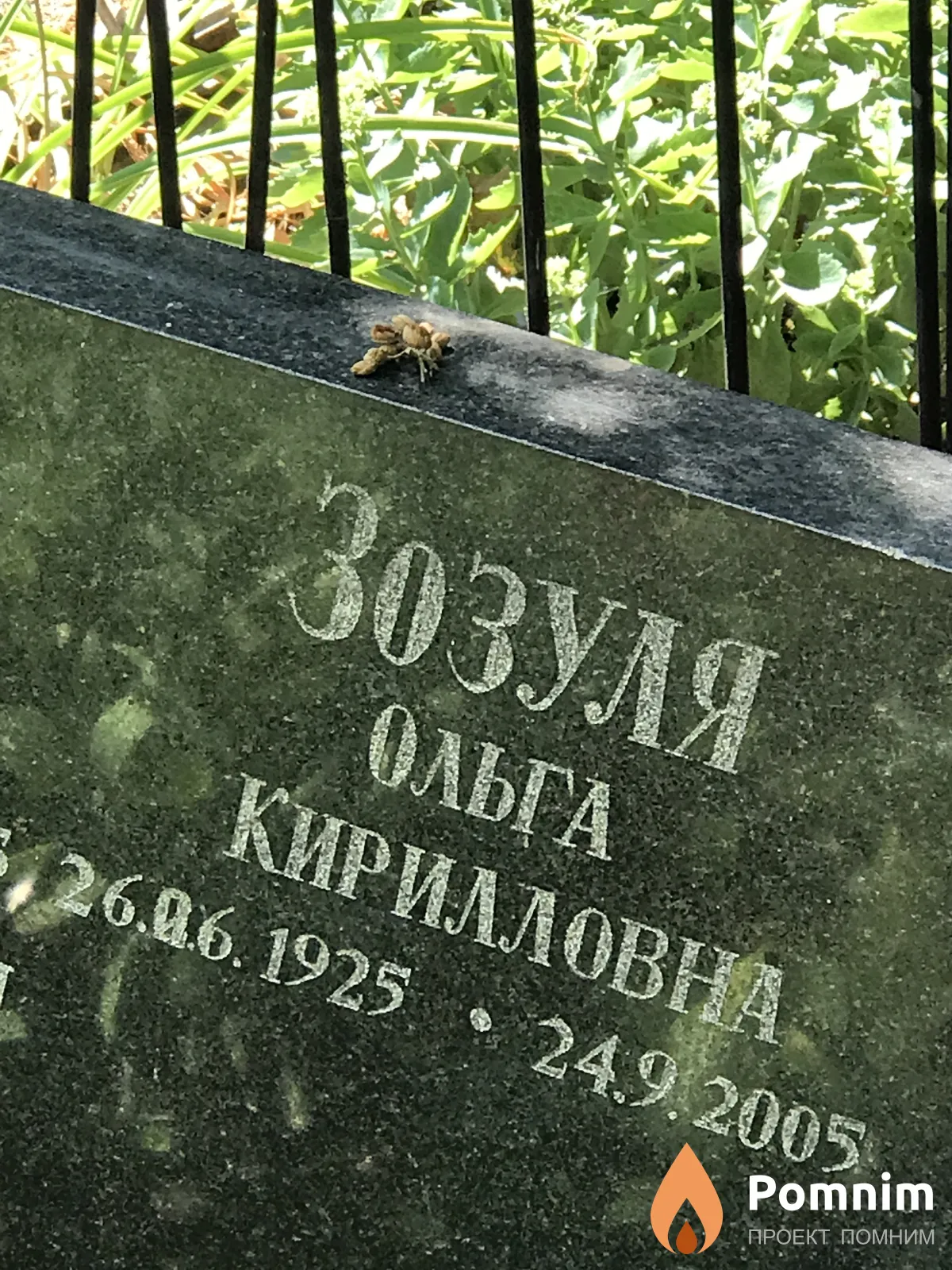 Зозуля Ольга Кирилловна