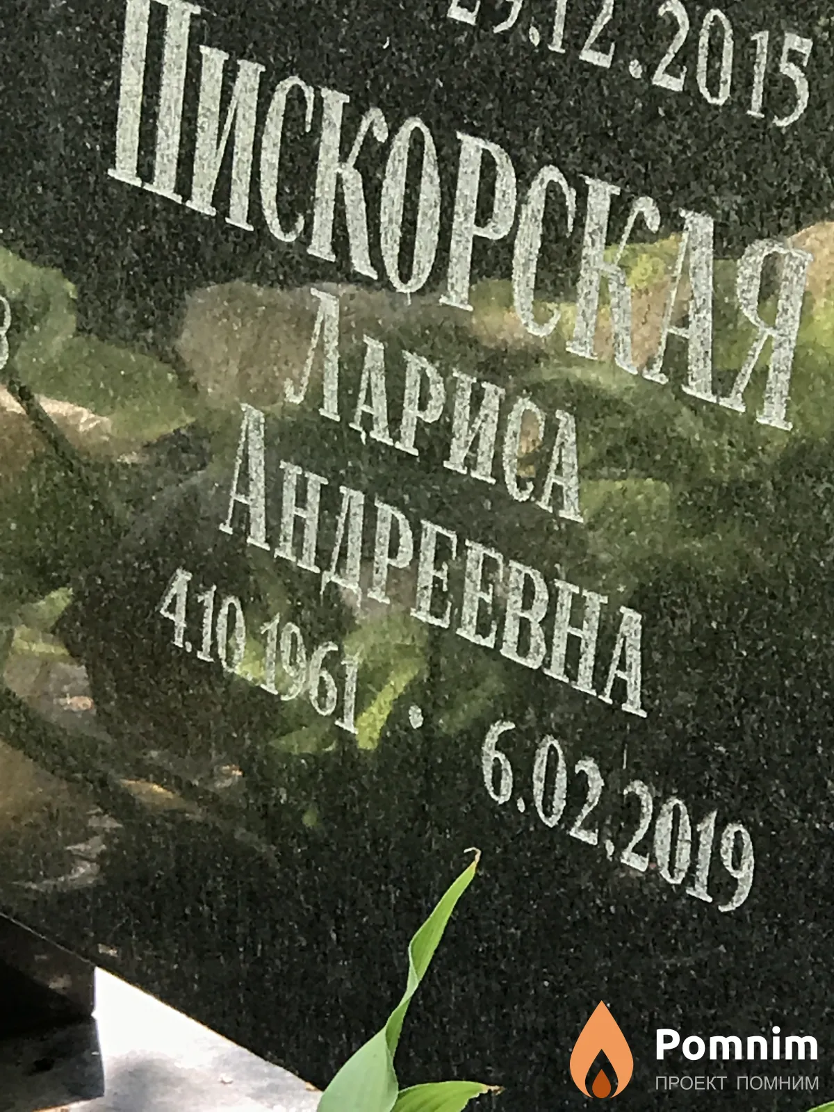 Пискорская Лариса Андреевна