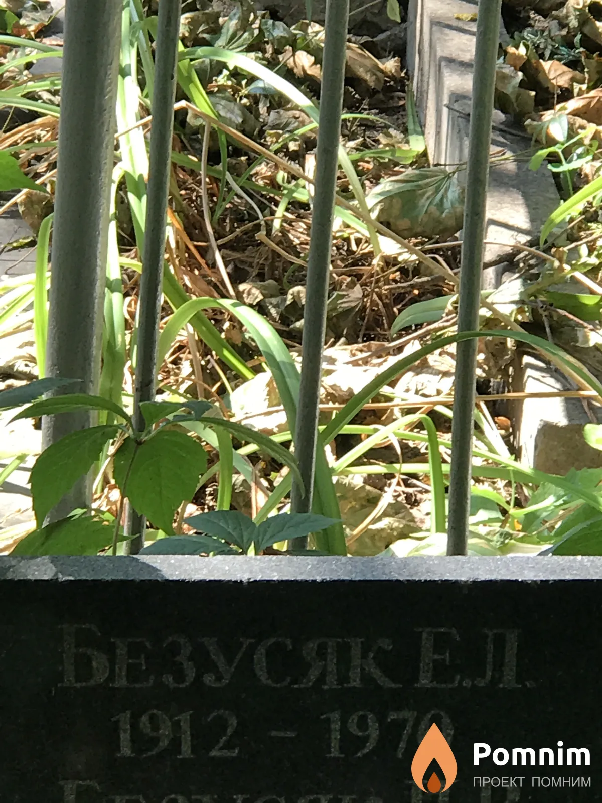 Безусяк Е Л
