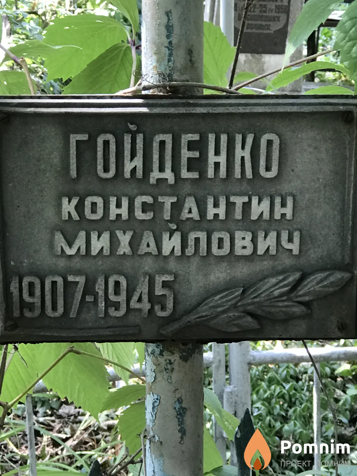 Гойденко Константин Михайлович