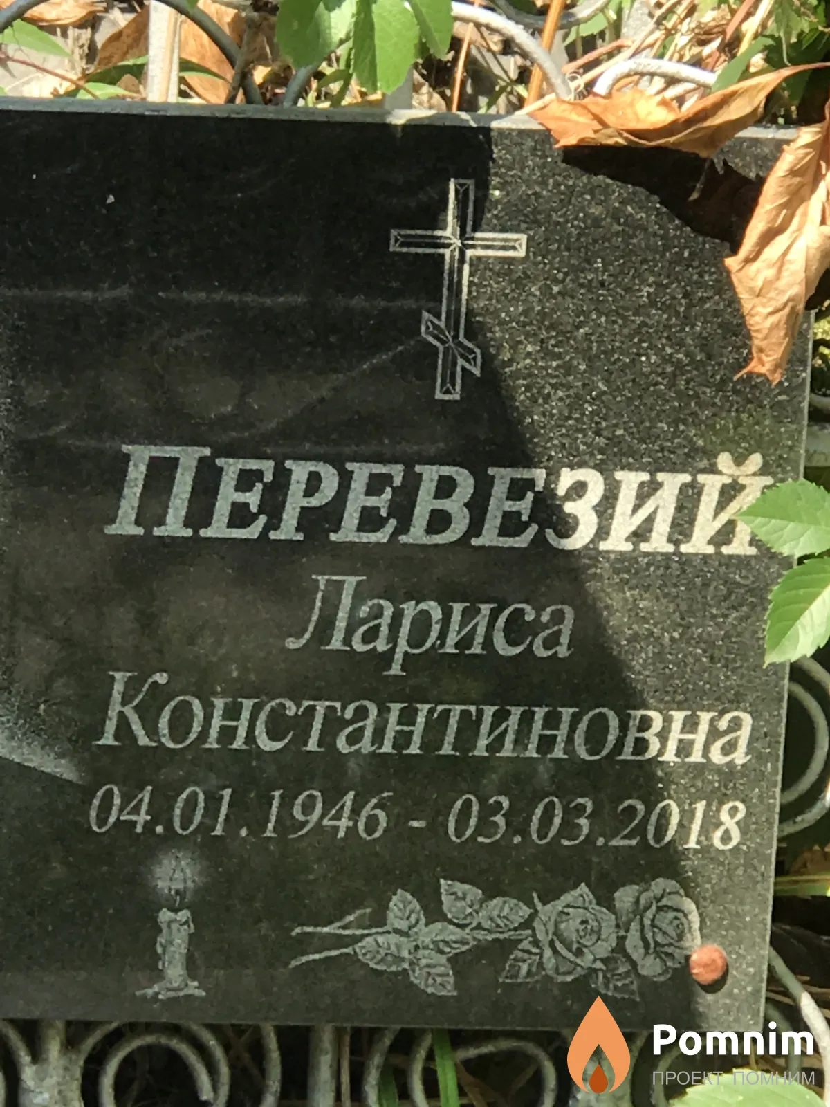 Перевезий Лариса Константиновна