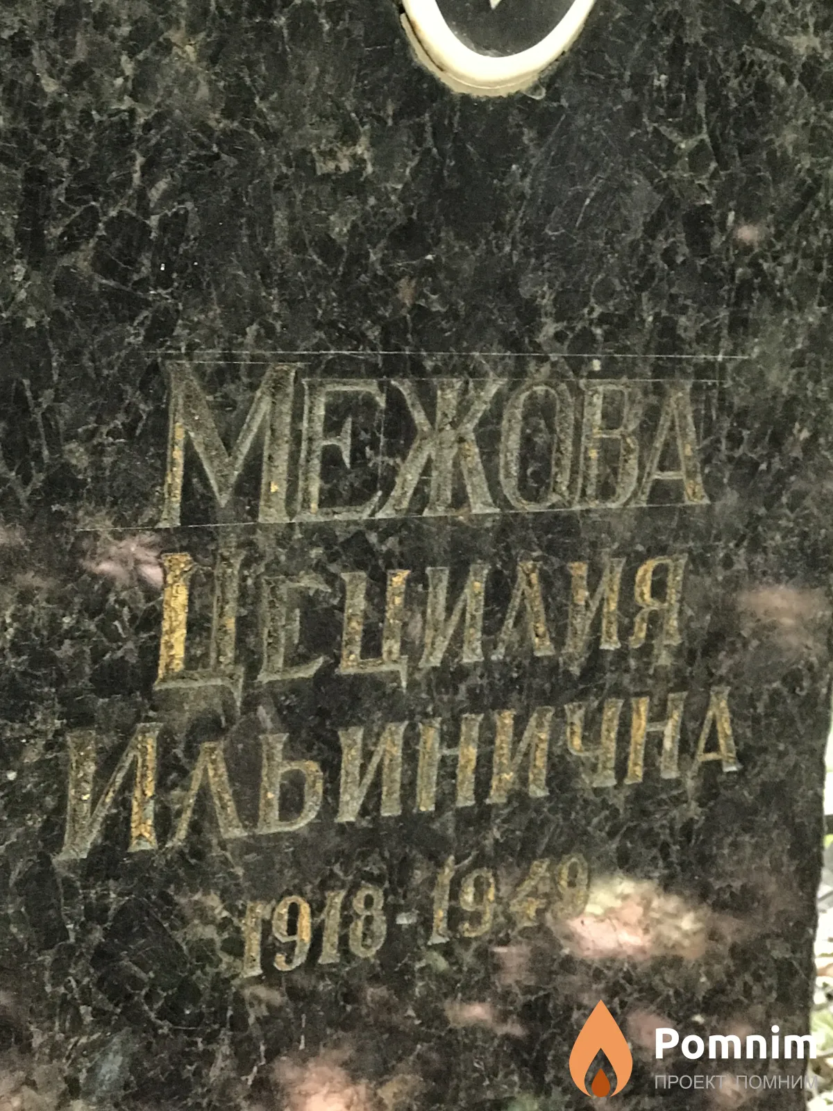 Межова Цецилия Ильинична