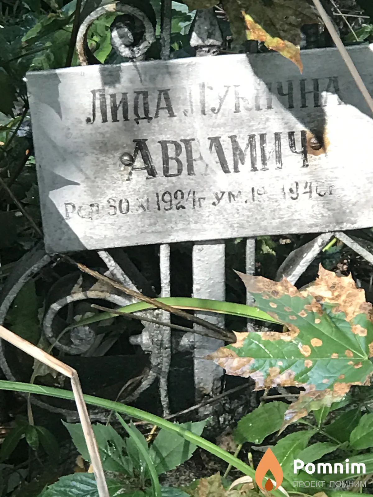 Аврамич Лида Лукична