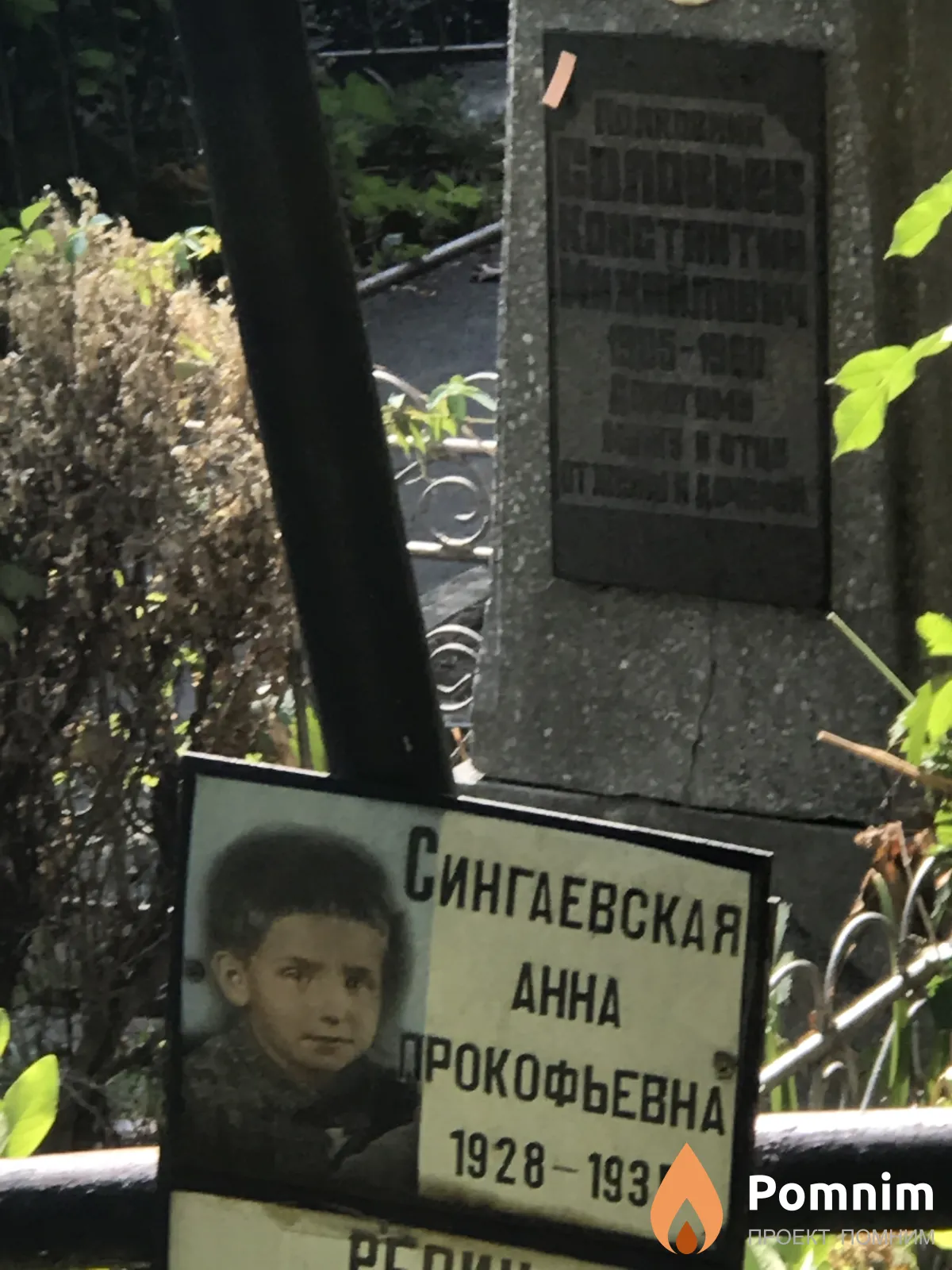 Сингаевская Анна Прокофьевна