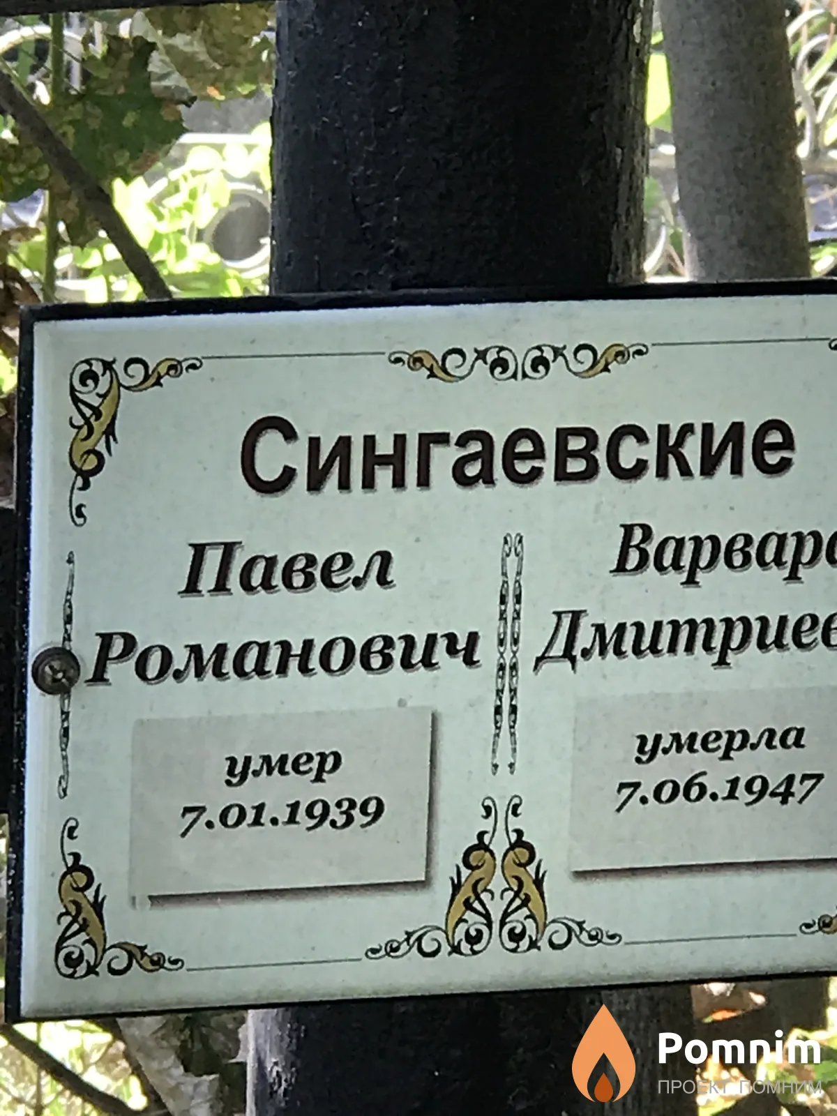Сингаевский Роман Романович