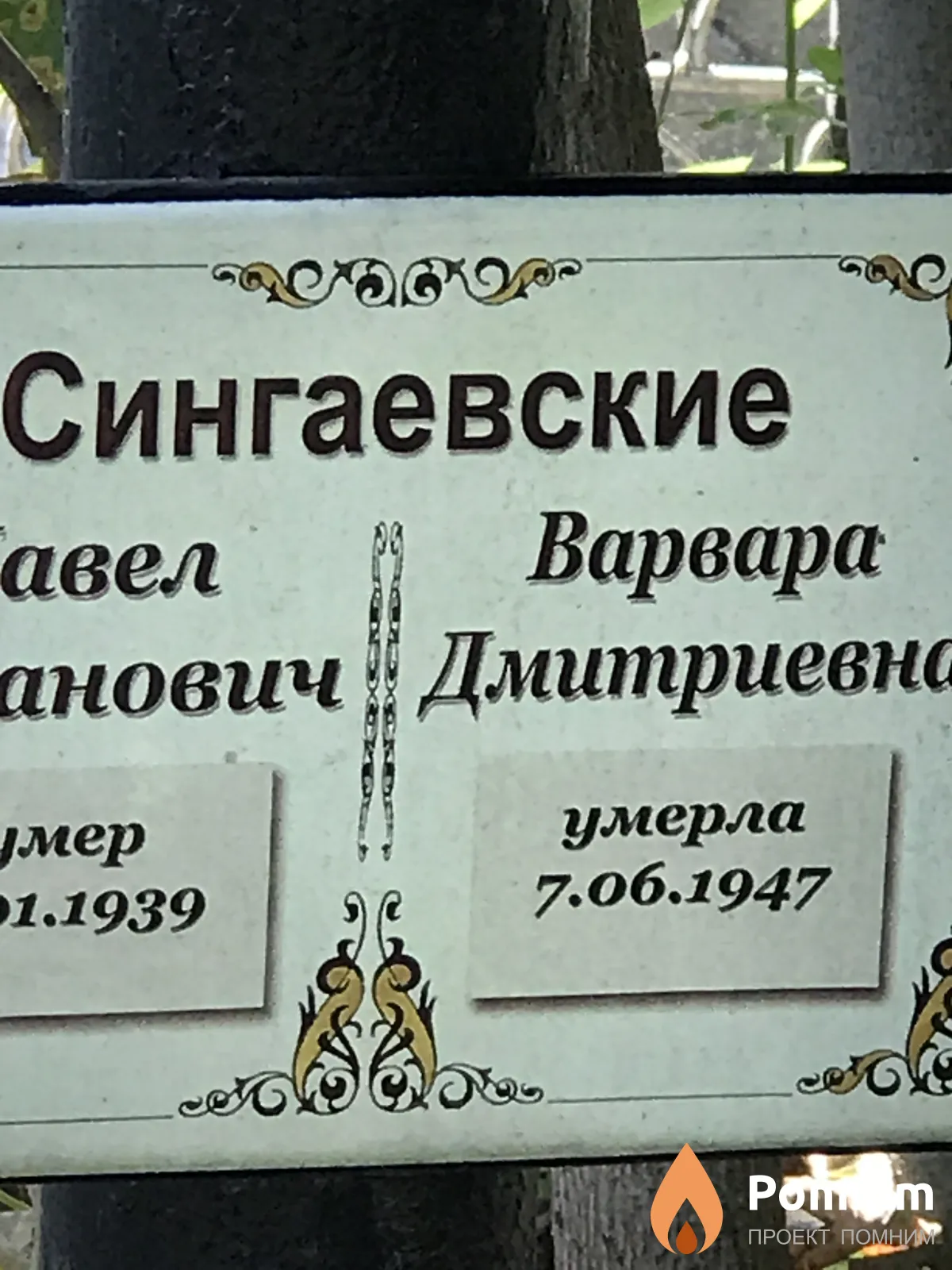 Сингаевская Варвара Дмитриевна