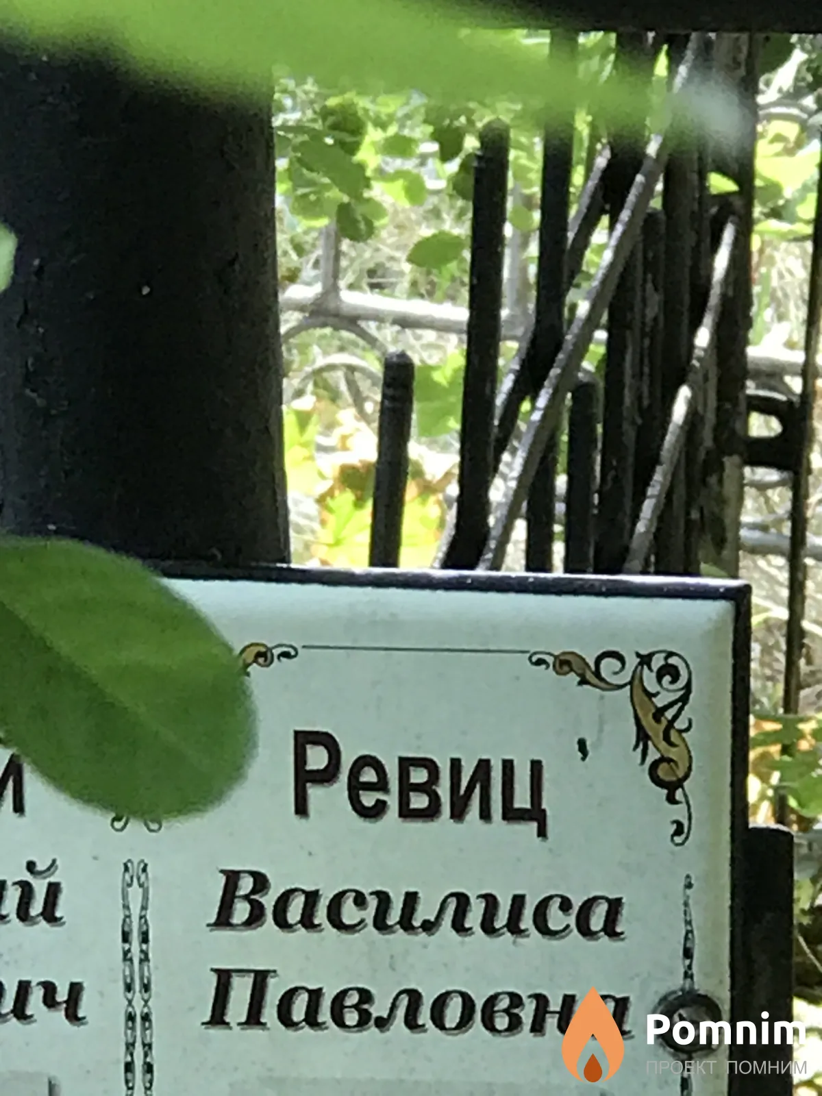 Ревиц Василиса Павловна