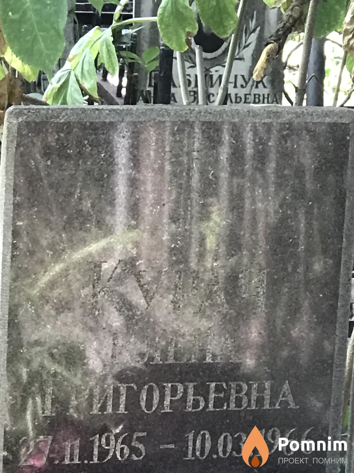 Курач Елена Григорьевна